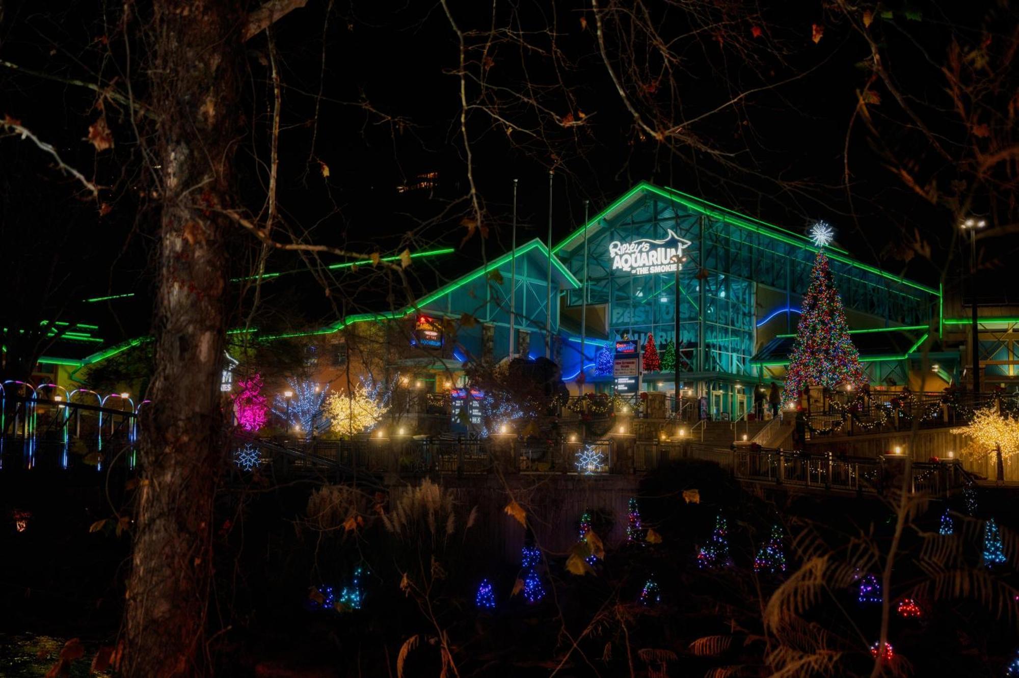 Gatlinburg Chateau Condo 503 エクステリア 写真